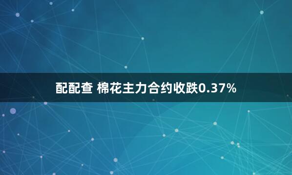 配配查 棉花主力合约收跌0.37%